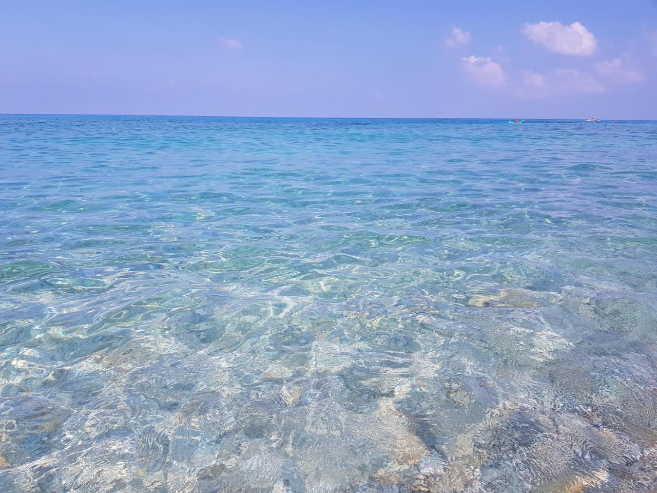 San Carlo - Terrazzo Sul Mare Con Ristorante E Pizzeria Bed & Breakfast Zambrone Dış mekan fotoğraf