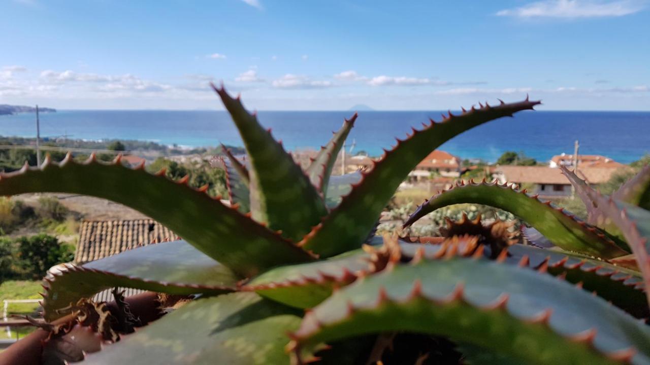 San Carlo - Terrazzo Sul Mare Con Ristorante E Pizzeria Bed & Breakfast Zambrone Dış mekan fotoğraf